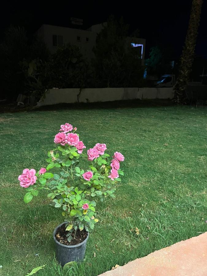 Asimado Hotel Antalya Extérieur photo